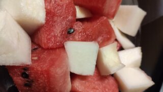 Кубанские аграрии начали выращивать ранние арбузы с помощью новых технологий