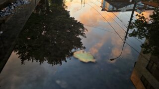 В начале новой рабочей недели на Кубань обрушатся дожди