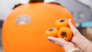 В центре Краснодара появилась большая «Хурма»: арт-объект в честь премьеры российско-индийского блокбастера