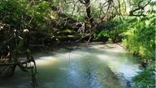 Государственный природный заказник «Лабинский» получил статус особо охраняемой природной территории