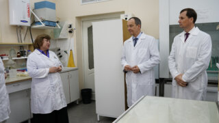 На Кубани в 2026 году на развитие селекции и семеноводства направят свыше 580 миллионов рублей