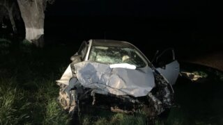 Годовалая девочка погибла в ДТП на трассе «Кавказ»