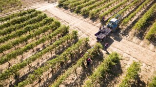 Кубань без окраин