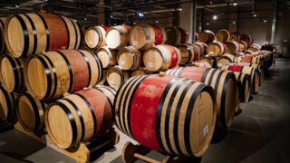 Губернатор Кондратьев рассказал о развитии винного туризма на Кубани