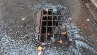 Ожидаются дожди и грозы на выходных в Краснодарском крае