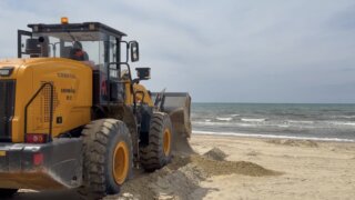 В Анапе начали отсыпку песка для восстановления пляжей после ЧС с мазутом