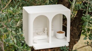 На черноморском побережье появился люксовый «отель» для пернатых