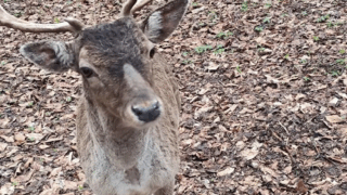 Отходы, популяции, маршруты: актуальные экологические вопросы