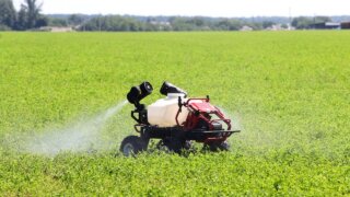 Председатель ЗСК Бурлачко прокомментировал закон о контроле за пестицидами