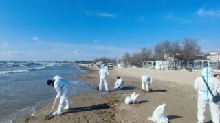 Спасатели в Анапе начали уборку нефтяного загрязнения на пляже