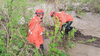 Проливные дожди подтопили 236 участков в Белореченском районе