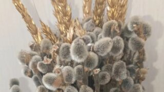 Кондратьев поздравил православных кубанцев с Вербным воскресеньем