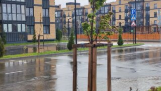 Штормовое предупреждение в Краснодаре: город готовится к ливням и ветру