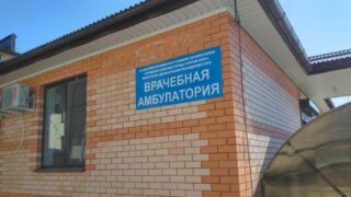 Семья под крылом системы