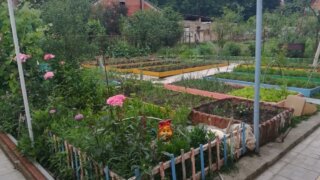 Огородная мудрость: как работать, чтобы не болеть