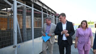 Глава Краснодара оценил работу приюта для бездомных собак