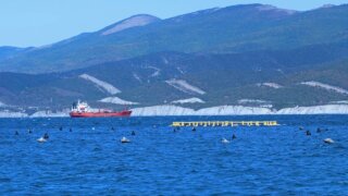 Глава ЗСК рассказал о развитии рыбоводства на Кубани