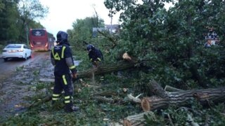 Последствия стихии в Ростове: один человек погиб, 13 получили травмы