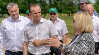 Акцент на развитие семеноводства на Кубани