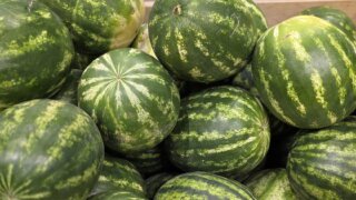 Фермеры со всего края привезут сезонные продукты на ярмарки в Краснодар
