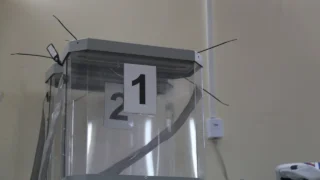 Расценки на публикацию агитматериалов в связи с проведением единого дня голосования