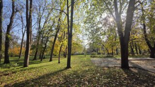 На Кубани сохранится тёплая и сухая погода