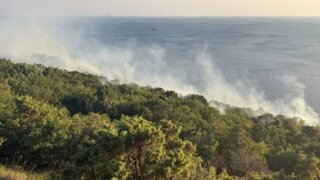 Под Анапой локализовали лесной пожар у горы Экономическая