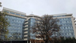 Кадровые перестановки в судебной системе: Алексей Егоров ушёл в отставку