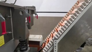 В Усть-Лабинске расширили производство кормов для импортозамещения