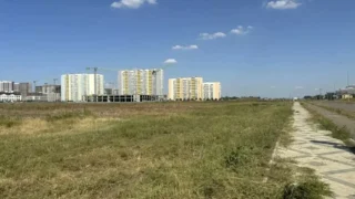 В Новознаменском покосили большой участок амброзии