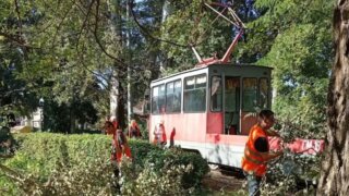 Сотрудники МУП “КТТУ” продолжают участие в осеннем санитарном марафоне