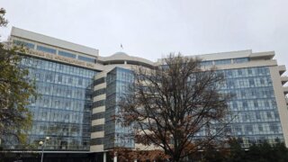 Арбитраж Кубани рассмотрел иск лагеря «Лазуревый берег» к Росимуществу