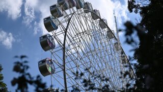 Куда пойти в Краснодаре: программа мероприятий в парках на выходные