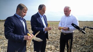 Бурлачко посетил сельхозпредприятие в Северском районе Кубани